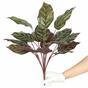 Umělá rostlina Kalatea 50 cm
