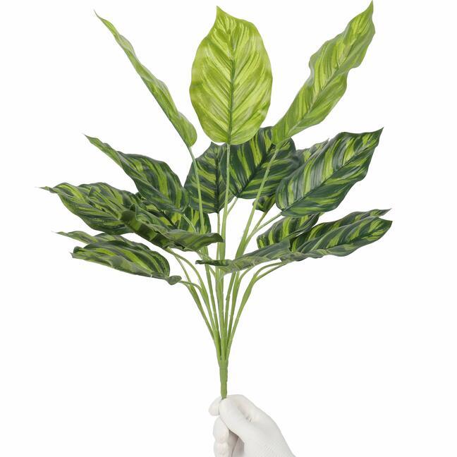 Umělá rostlina Kalatea 50 cm