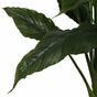 Umělá rostlina lopatkovec 108 cm