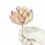 Umělá rostlina Lotus Echeveria 10 cm