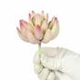 Umělá rostlina Lotus Echeveria 10 cm