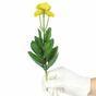 Umělá rostlina Marolist balšámový 22 cm