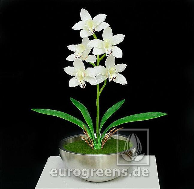 Umělá rostlina Orchidea Cymbidium krémová 50 cm