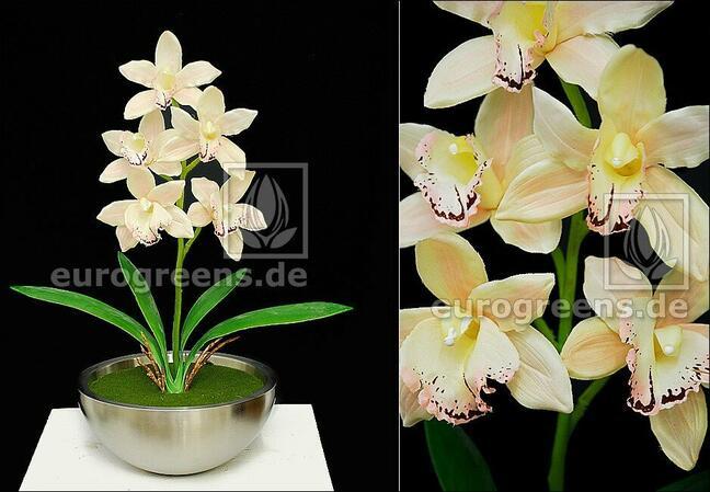 Umělá rostlina Orchidea Cymbidium smetanová 50 cm