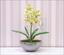 Umělá rostlina Orchidea Cymbidium světlezelená 50 cm