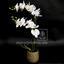 Umělá rostlina Orchidej bílá 65 cm