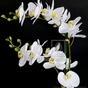 Umělá rostlina Orchidej bílá 65 cm