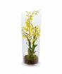 Umělá rostlina Orchidej Oncidium 80 cm