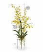 Umělá rostlina Orchidej Oncidium 80 cm
