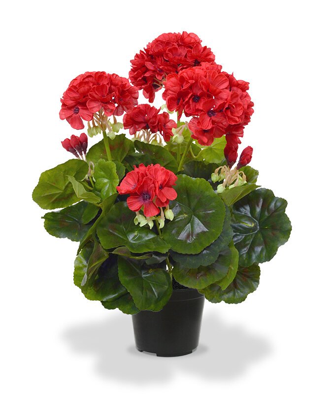 Umělá červená Geranium 40 cm