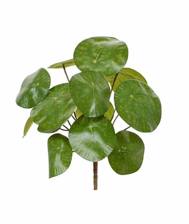 Umělá rostlina Pilea peperomioides 20 cm