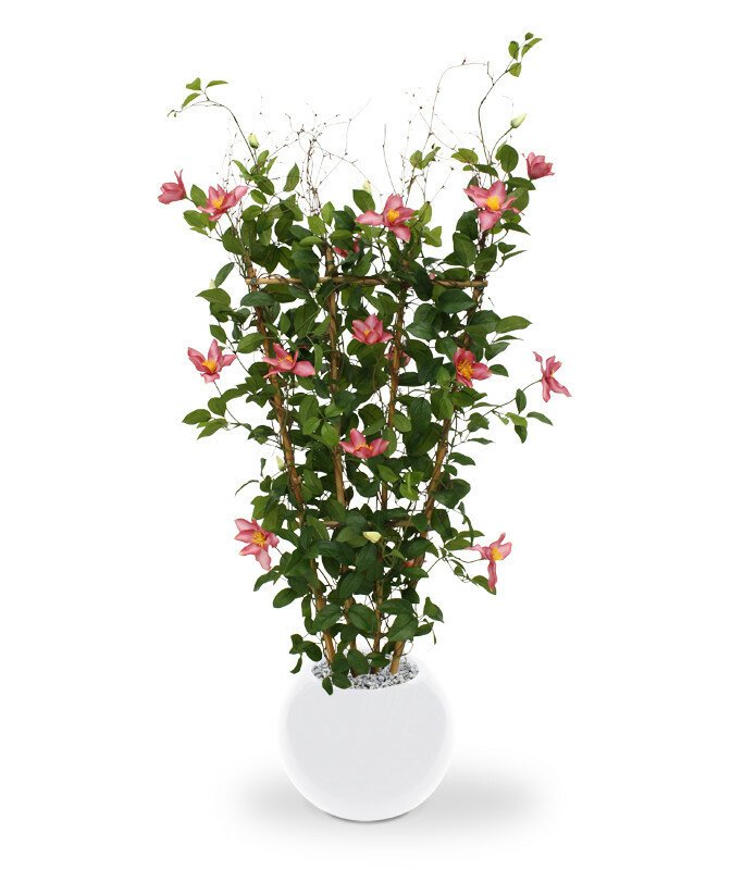 Umělá rostlina Plamínek růžová 125 cm