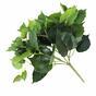 Umělá rostlina Přísavník zelený 25 cm