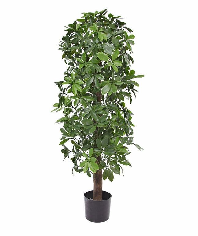 Umělá rostlina Šeflera 120 cm