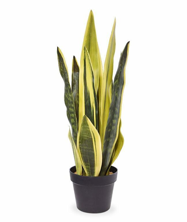 Umělá rostlina Tchynin jazyk žluto-zelená 72 cm