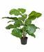 Umělá rostlina Tetrastigma 40 cm
