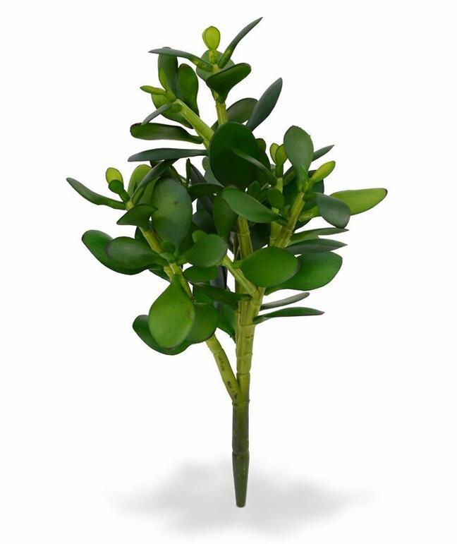 Umělá rostlina Tlustice 30 cm