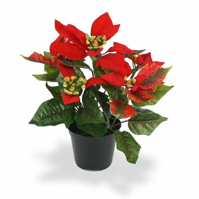 Umělá rostlina Vánoční růže červená 25 cm