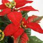 Umělá rostlina Vánoční růže červená 25 cm