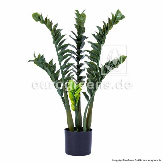 Umělá rostlina Zamiokulkas 75 cm