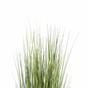Umělá tráva Ozdobnice čínská světle zelená 150 cm