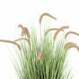 Umělá tráva Pérovec pejskovitý hnědý 105 cm