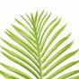 Umělá tropická palma 160 cm