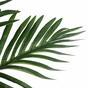 Umělá tropická palma 76 cm