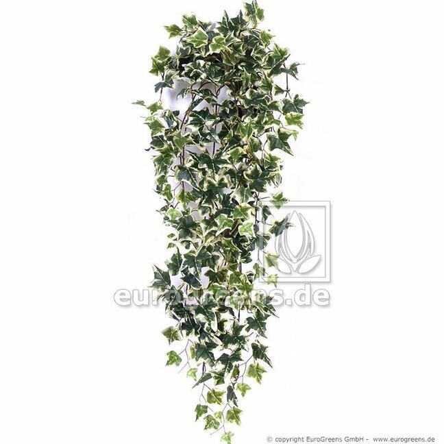 Umělá úponká Břečťan kavkazský 70 cm