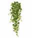 Umělá úponka Filodendron 80 cm