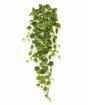 Umělá úponka Filodendron 80 cm
