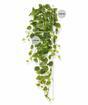 Umělá úponka Filodendron 80 cm