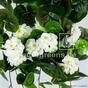 Umělá úponka Pelargónie bílá 70 cm