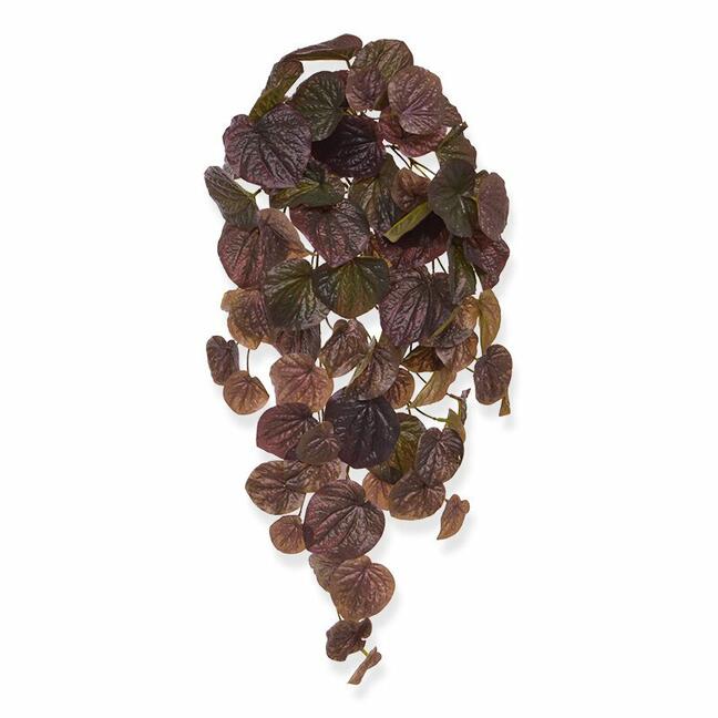 Umělá úponka Peperomia burgundy 60 cm