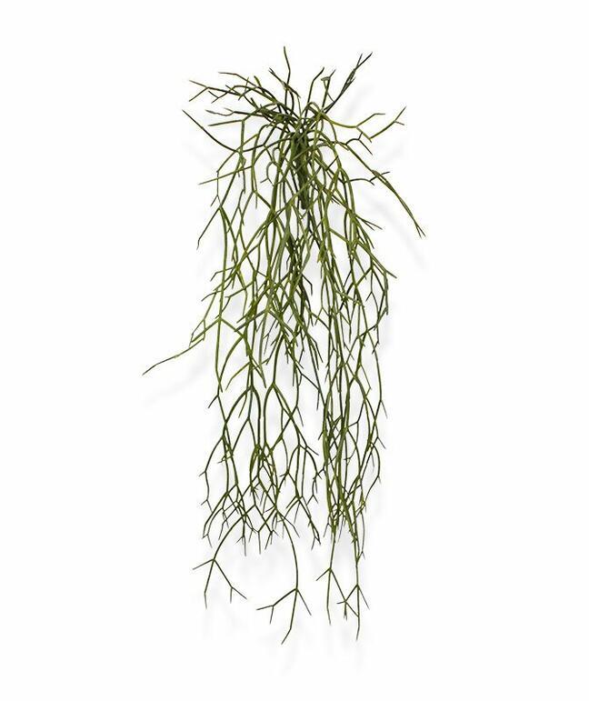 Umělá úponka Rhipsalis micrantha 55 cm