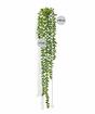 Umělá úponka Senecio 55 cm