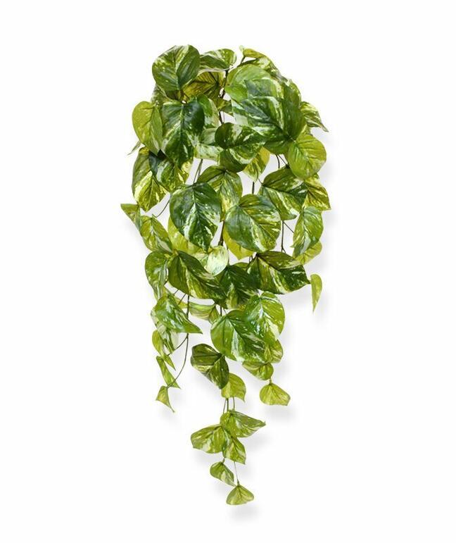 Umělá úponka Šplhavnice 60 cm