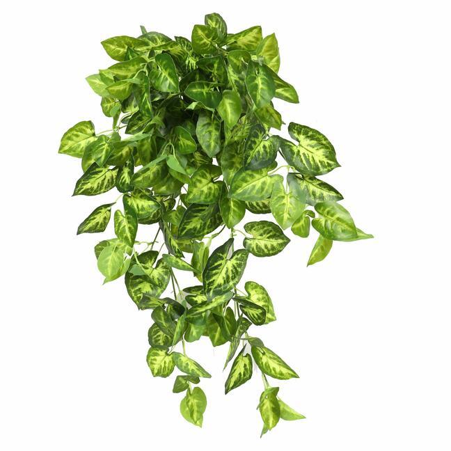 Umělá úponky difenbachie 80 cm