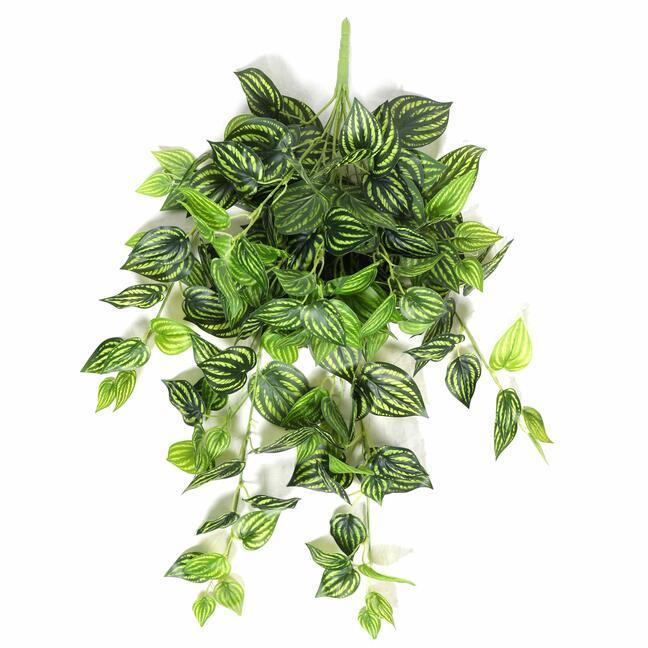 Umělá úponky Peperomia 80 cm