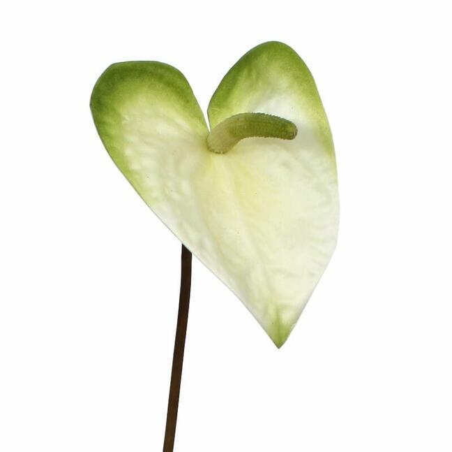 Umělá větev Anthurium bílo-zelená 55 cm