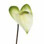 Umělá větev Anthurium bílo-zelená 55 cm