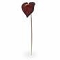 Umělá větev Anthurium burgundy 55 cm