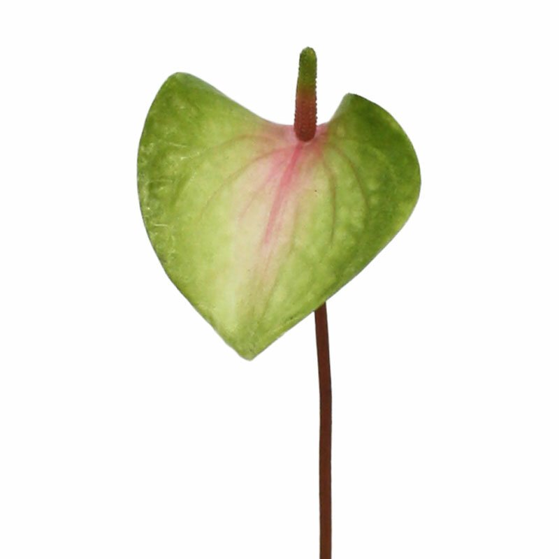 Umělá Anthurium růžovo-zelená 50 cm