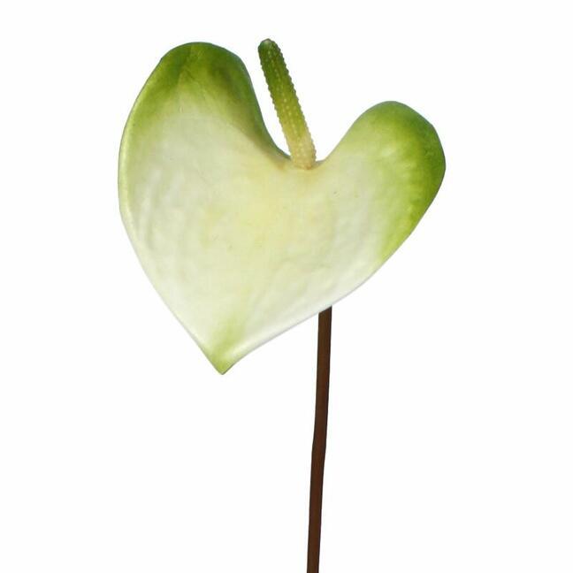 Umělá větev Anthurium zeleno-bílá 50 cm