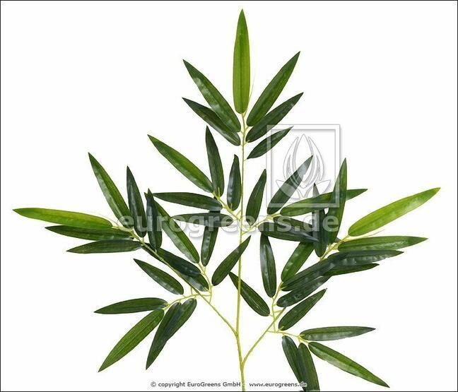 Umělá větev Bambus 60 cm