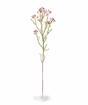Umělá větev Chamelaucium uncinatum růžová 65 cm