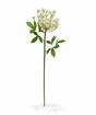 Umělá větev Kopr krémová 55 cm