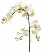 Umělá větev Orchidej bílá 110 cm