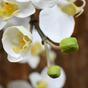 Umělá větev Orchidej bílá 110 cm