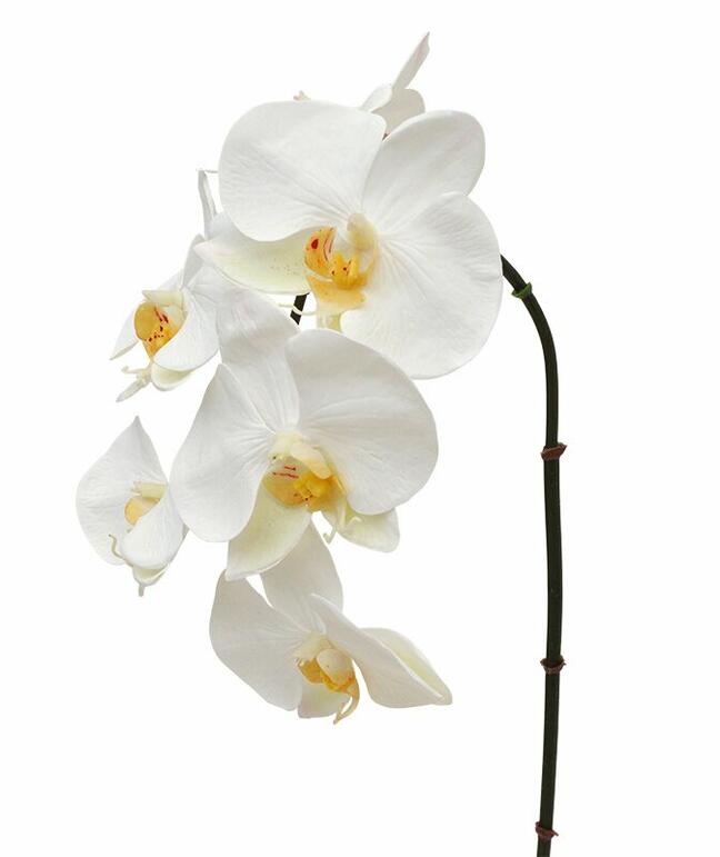 Umělá větev orchidej bílá 55 cm
